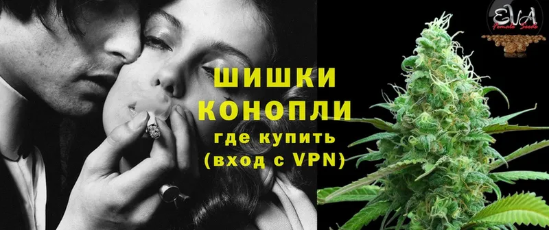 Бошки марихуана Amnesia  Горнозаводск 